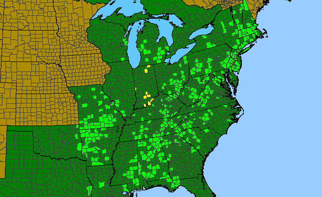 The range of Crataegus intricata